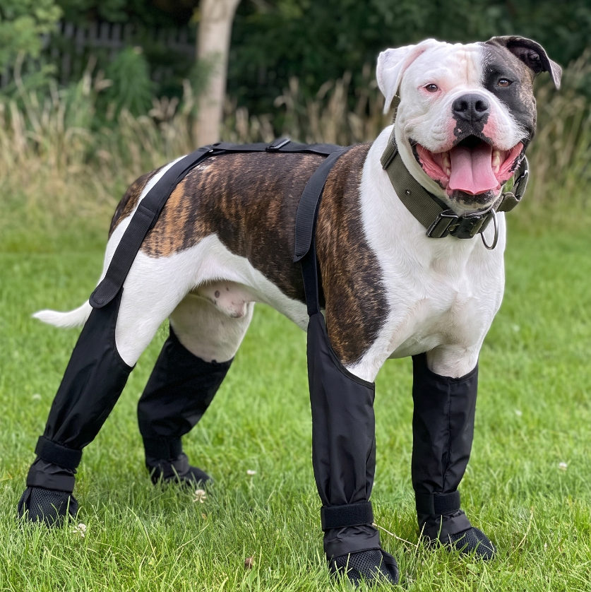 Waterproof Dog Leg Boots